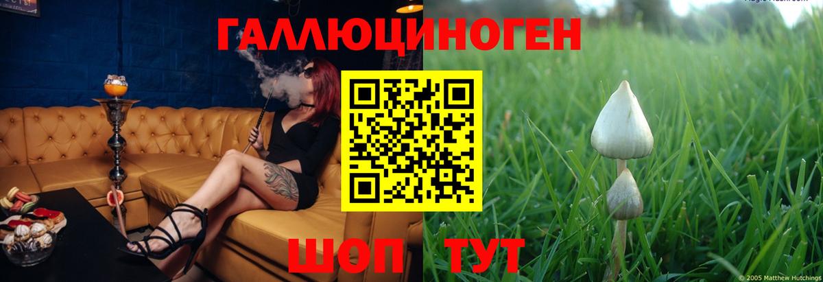 Буйнакск  Галлюциногенные грибы Magic Shrooms  Вход с VPN 